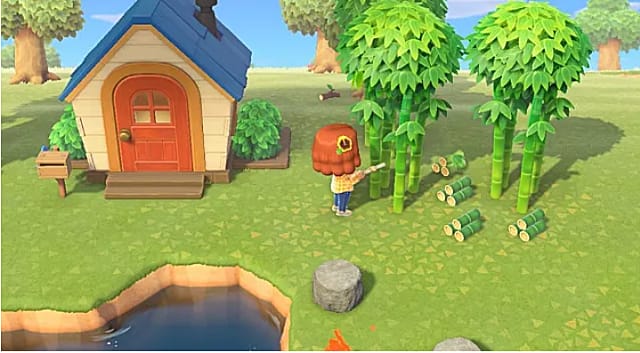 Animal Crossing New Horizons How to Get Bamboo Pieces